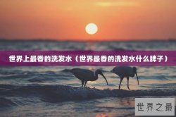 世界上最香的洗发水（世界最香的洗发水什么牌子）