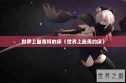 世界上最奇特的床（世界上最美的床）