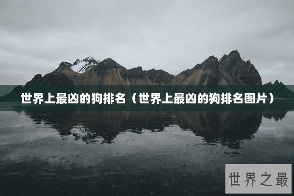 世界上最凶的狗排名（世界上最凶的狗排名图片）