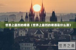 世界上最烈的啤酒（世界上最烈的啤酒是什么酒）