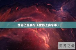 世界上最赛车（世界上赛车手）