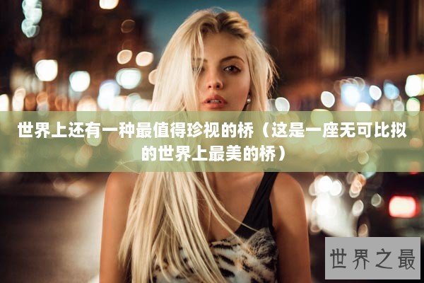 世界上还有一种最值得珍视的桥（这是一座无可比拟的世界上最美的桥）