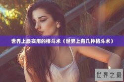世界上最实用的格斗术（世界上有几种格斗术）