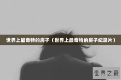 世界上最奇特的房子（世界上最奇特的房子纪录片）