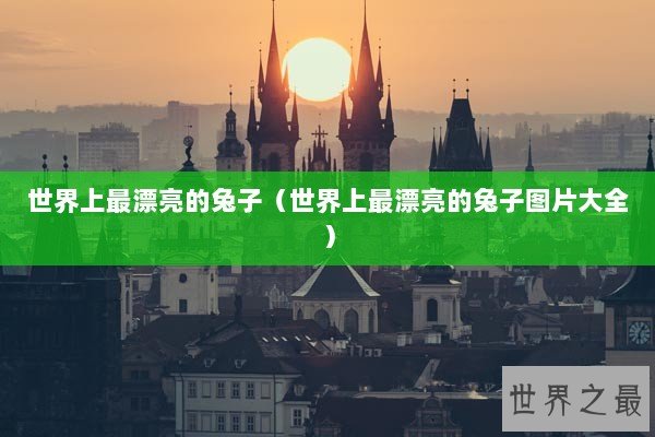 世界上最漂亮的兔子（世界上最漂亮的兔子图片大全）