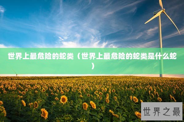 世界上最危险的蛇类（世界上最危险的蛇类是什么蛇）