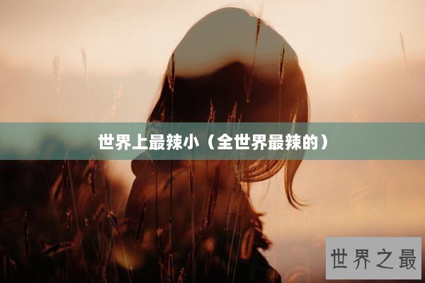 世界上最辣小（全世界最辣的）