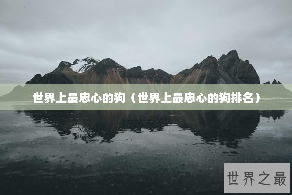 世界上最忠心的狗（世界上最忠心的狗排名）