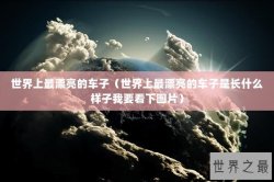 世界上最漂亮的车子（世界上最漂亮的车子是长什么样子我要看下图片）