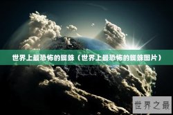 世界上最恐怖的蜘蛛（世界上最恐怖的蜘蛛图片）