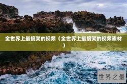 全世界上最搞笑的视频（全世界上最搞笑的视频素材）