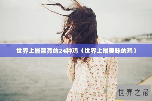 世界上最漂亮的24种鸡（世界上最美味的鸡）