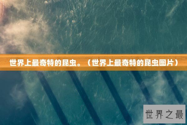 世界上最奇特的昆虫。（世界上最奇特的昆虫图片）