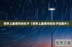 世界上最豪华的车子（世界上最豪华的车子拉图片）