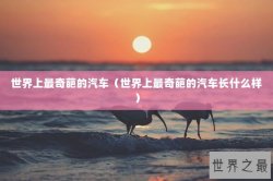 世界上最奇葩的汽车（世界上最奇葩的汽车长什么样）