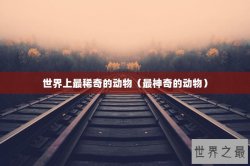 世界上最稀奇的动物（最神奇的动物）