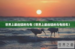 世界上最凶猛的乌龟（世界上最凶猛的乌龟排名）