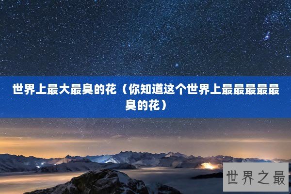 世界上最大最臭的花（你知道这个世界上最最最最最臭的花）