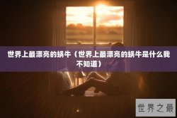 世界上最漂亮的蜗牛（世界上最漂亮的蜗牛是什么我不知道）