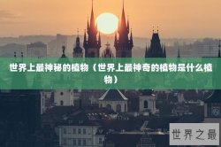 世界上最神秘的植物（世界上最神奇的植物是什么植物）