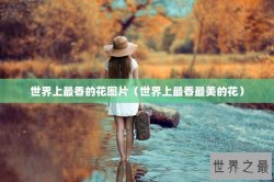 世界上最香的花图片（世界上最香最美的花）