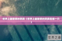世界上最聪明的鹦鹉（世界上最聪明的鹦鹉是哪一只）