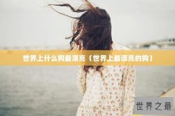世界上什么狗最漂亮（世界上最漂亮的狗）