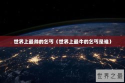 世界上最帅的乞丐（世界上最牛的乞丐是谁）