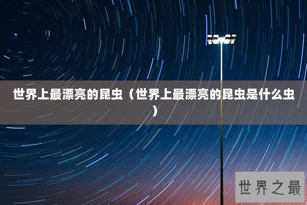 世界上最漂亮的昆虫（世界上最漂亮的昆虫是什么虫）