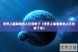 世界上最勤奋的人已经老了（世界上最勤奋的人已经老了吗）