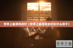 世界上最漂亮的灯（世界上最漂亮的灯长什么样子）
