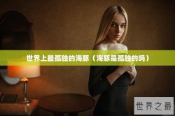 世界上最孤独的海豚（海豚是孤独的吗）