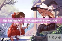 世界上最肥的兔子（世界上最肥的兔子是什么品种?）