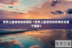 世界上最漂亮的玫瑰花（世界上最漂亮的玫瑰花在哪个国家）