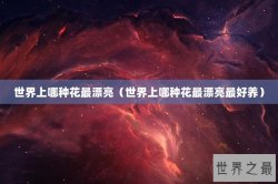 世界上哪种花最漂亮（世界上哪种花最漂亮最好养）