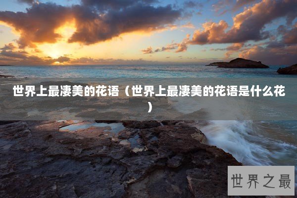 世界上最凄美的花语（世界上最凄美的花语是什么花）