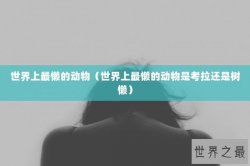 世界上最懒的动物（世界上最懒的动物是考拉还是树懒）