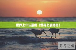 世界上什么最疼（世界上最疼的）