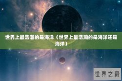 世界上最浩瀚的是海洋（世界上最浩瀚的是海洋还是海洋）