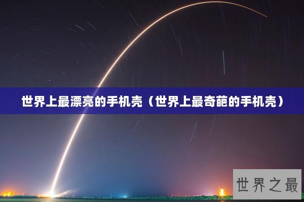 世界上最漂亮的手机壳（世界上最奇葩的手机壳）