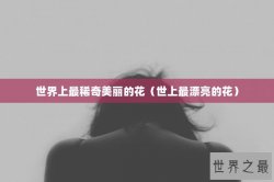 世界上最稀奇美丽的花（世上最漂亮的花）