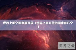 世界上那个国家最开放（世界上最开放的国家有几个）