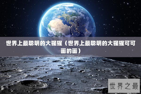 世界上最聪明的大猩猩（世界上最聪明的大猩猩可可画的画）