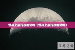 世界上最残暴的动物（世界上最残暴的动物）