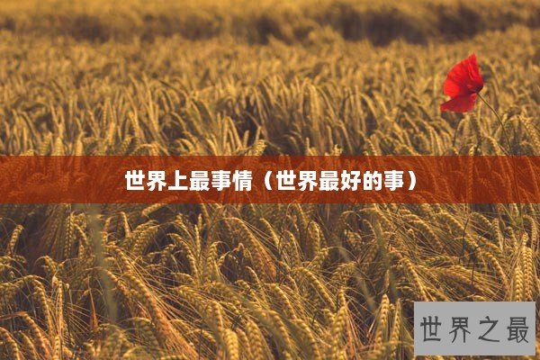 世界上最事情（世界最好的事）