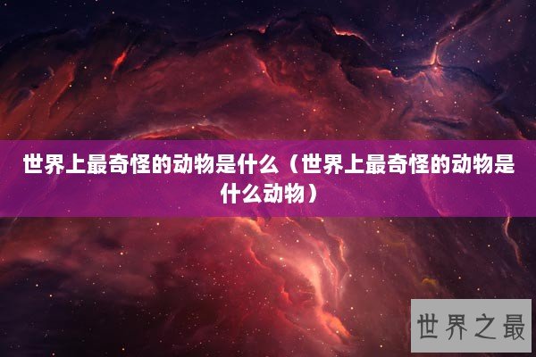 世界上最奇怪的动物是什么（世界上最奇怪的动物是什么动物）