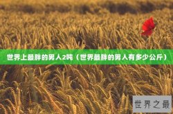 世界上最胖的男人2吨（世界最胖的男人有多少公斤）