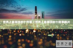 世界上最孤独的十件事（世界上最孤独的十件事图片）