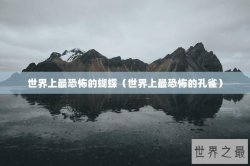 世界上最恐怖的蝴蝶（世界上最恐怖的孔雀）