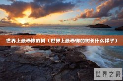 世界上最恐怖的树（世界上最恐怖的树长什么样子）